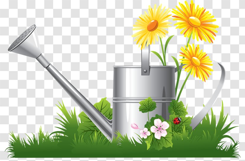 Flower Clip Art - Garden - Interviews Transparent PNG