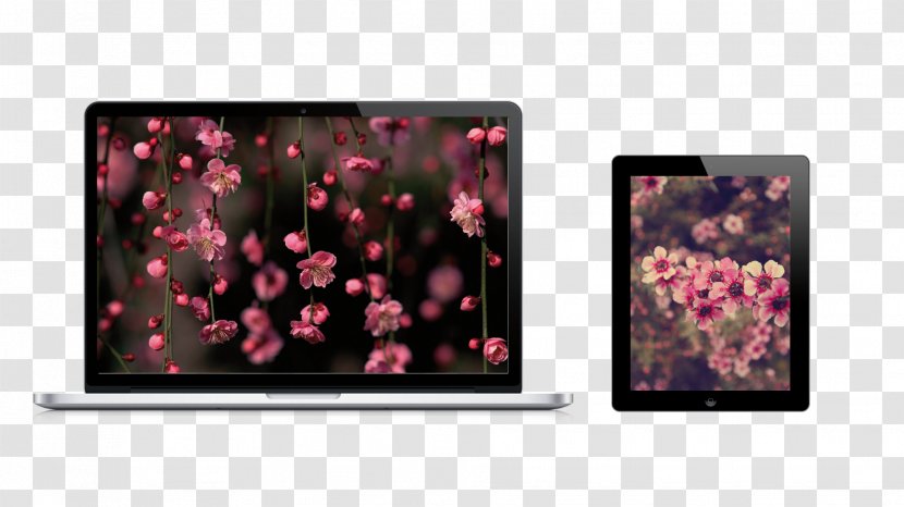 Laptop Desktop Wallpaper Computers High-definition Television - Mobile Phones Transparent PNG
