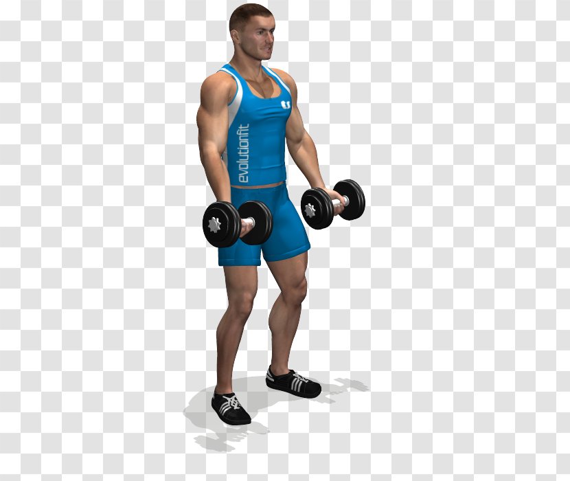 Weight Training Exercise Deltoid Muscle Front Raise Squat - Heart - Fly Transparent PNG