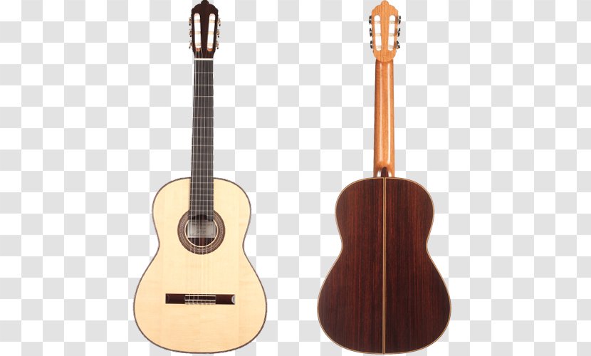 Steel-string Acoustic Guitar Classical Musical Instruments - Flower Transparent PNG