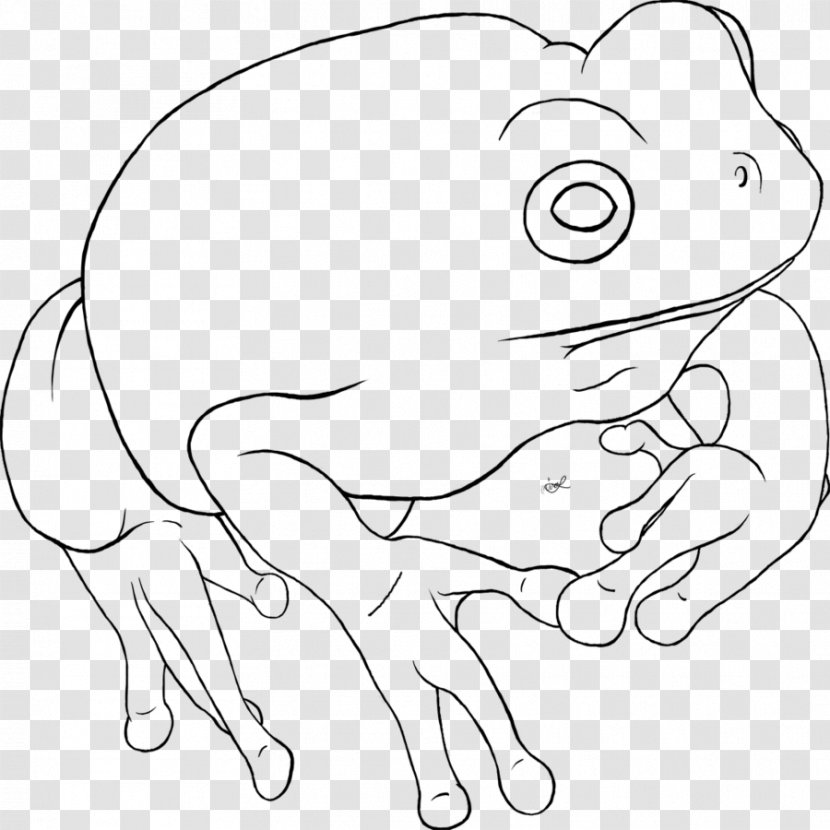 Drawing Line Art /m/02csf Clip - Flower - Frog Clipart Black And White Transparent PNG