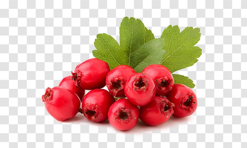 Skin Food Cream Cranberry Xeroderma - Acerola - Chamaemelum Nobile Transparent PNG