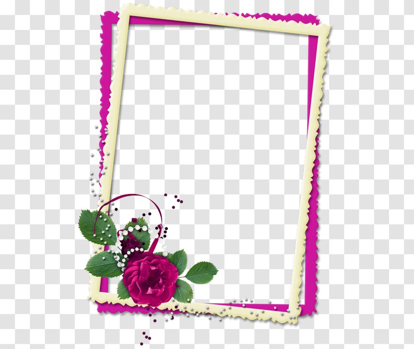 Picture Frames - Flower - Cádiza Transparent PNG