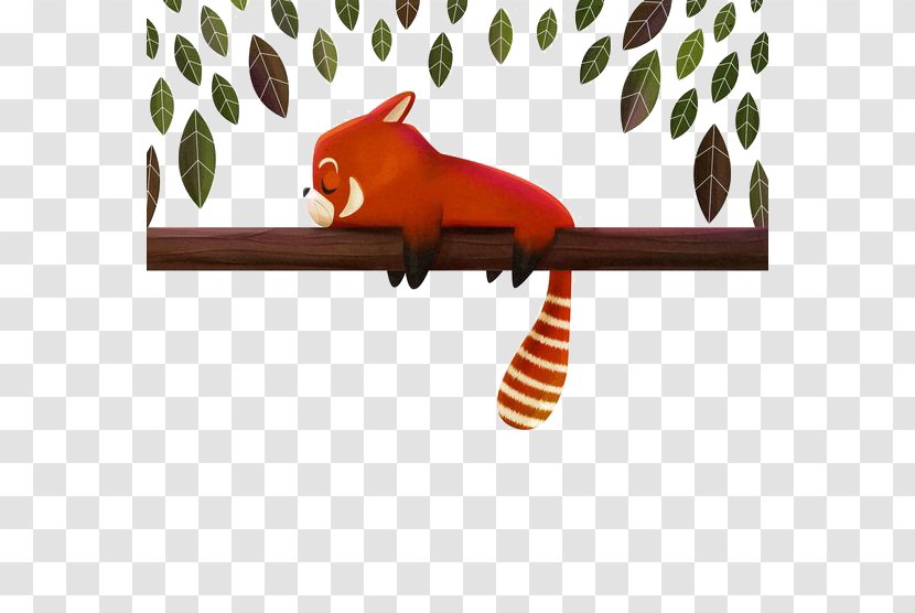 Red Panda Giant Raccoon Drawing Illustration - Cuteness Transparent PNG