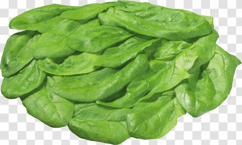 Lettuce Salad Vegetable - Arugula - Green Image Transparent PNG