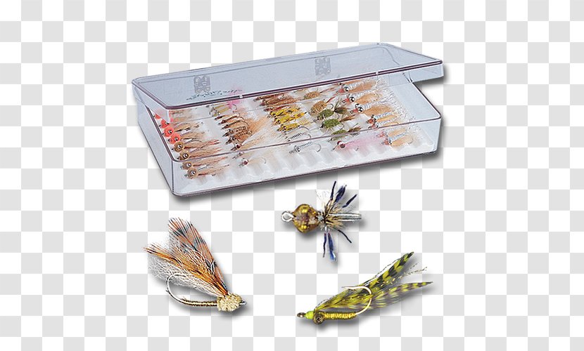 Fly Fishing Bonefish Grill Crazy Charlie - Organism - Bonefishes Transparent PNG