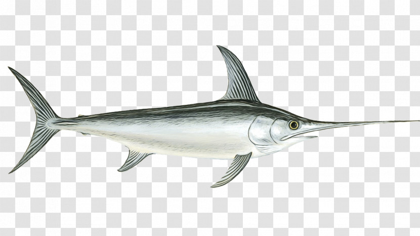 Swordfish Bony Fishes Fish Seafood Fish As Food Transparent PNG