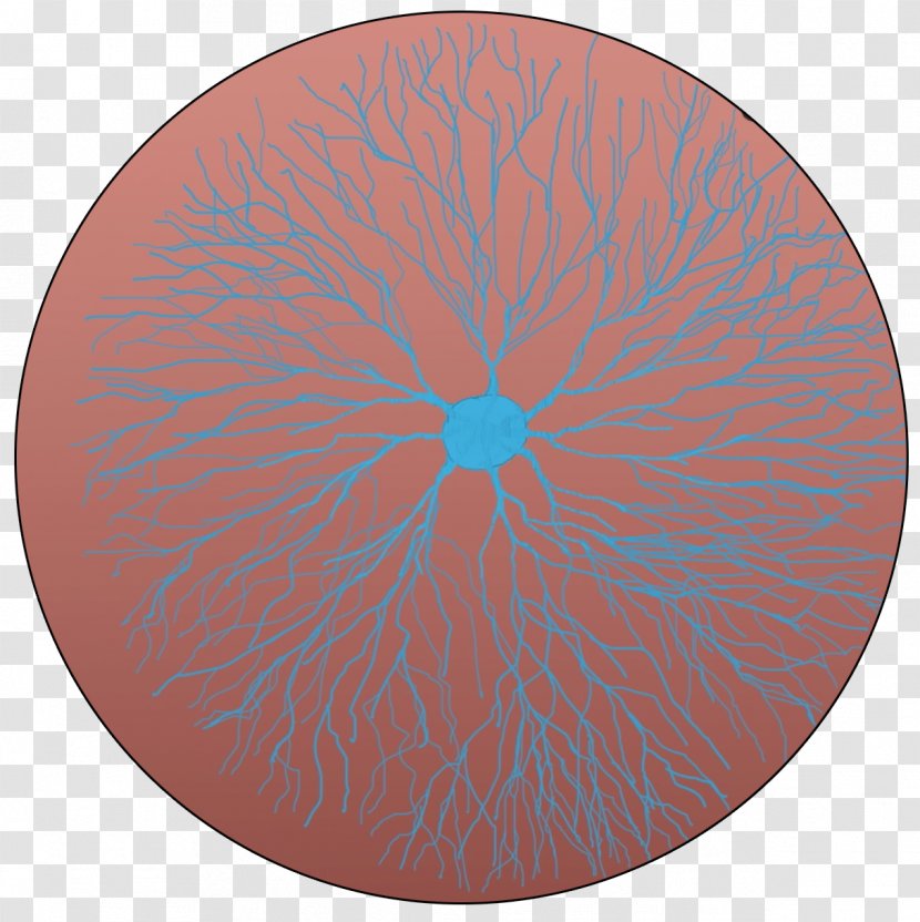 Symmetry Organism Pattern - Orange Transparent PNG