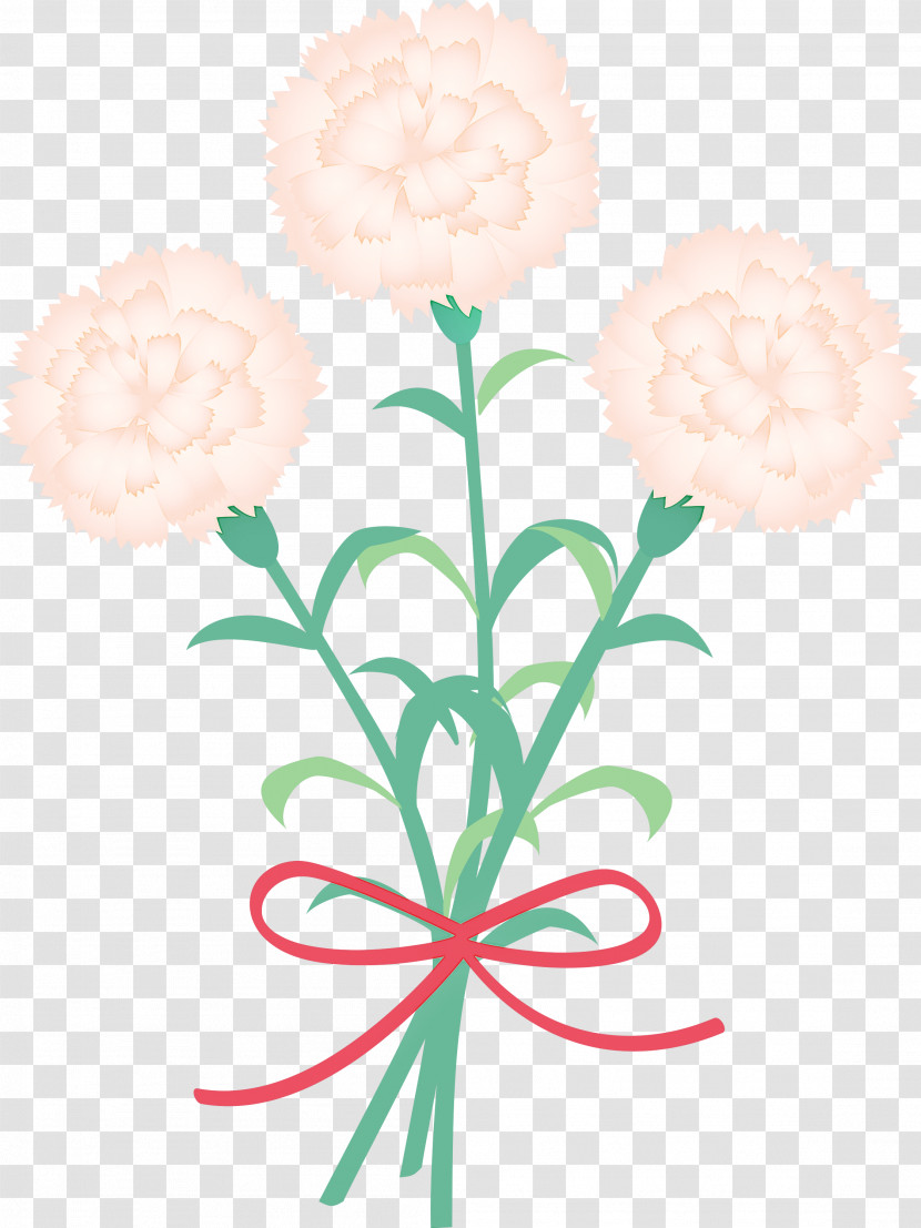 Mothers Day Carnation Mothers Day Flower Transparent PNG