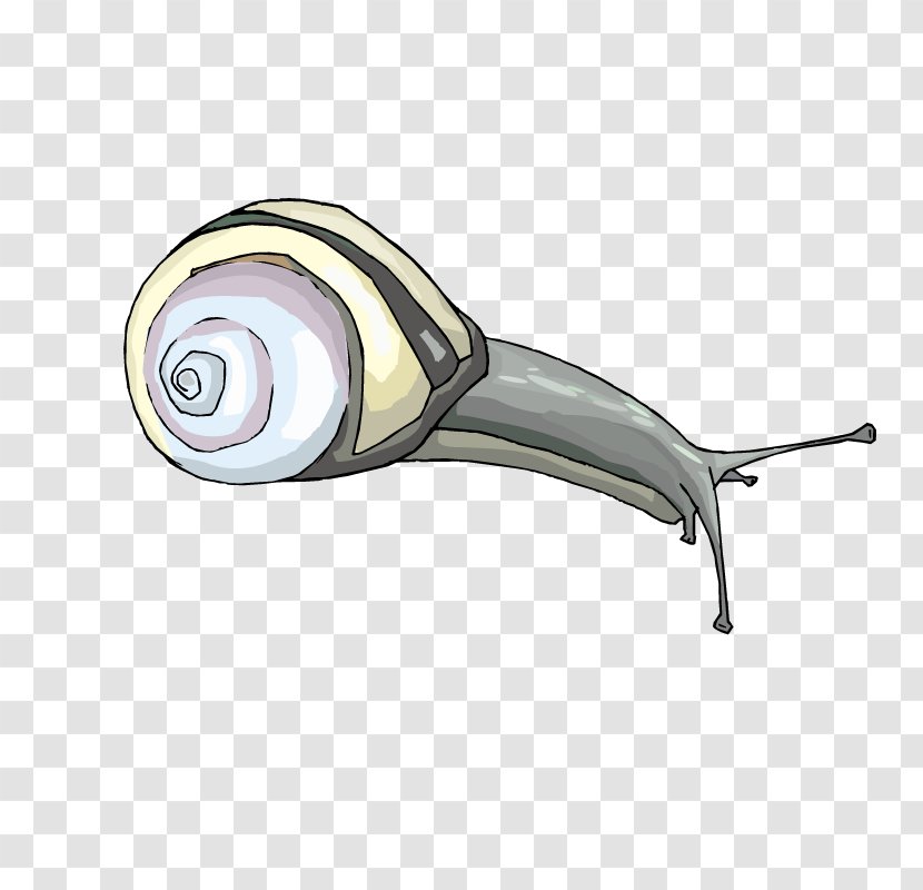 Snails - Insect - Animal Transparent PNG