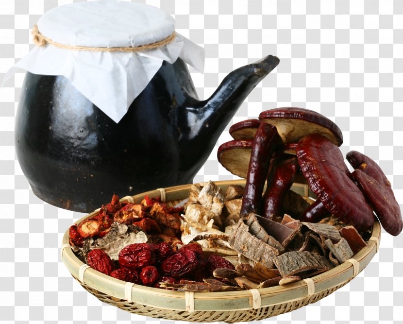 Compendium Of Materia Medica Chinese Herbology Traditional Medicine - Food - Yao Guanzi And Various Herbs Transparent PNG