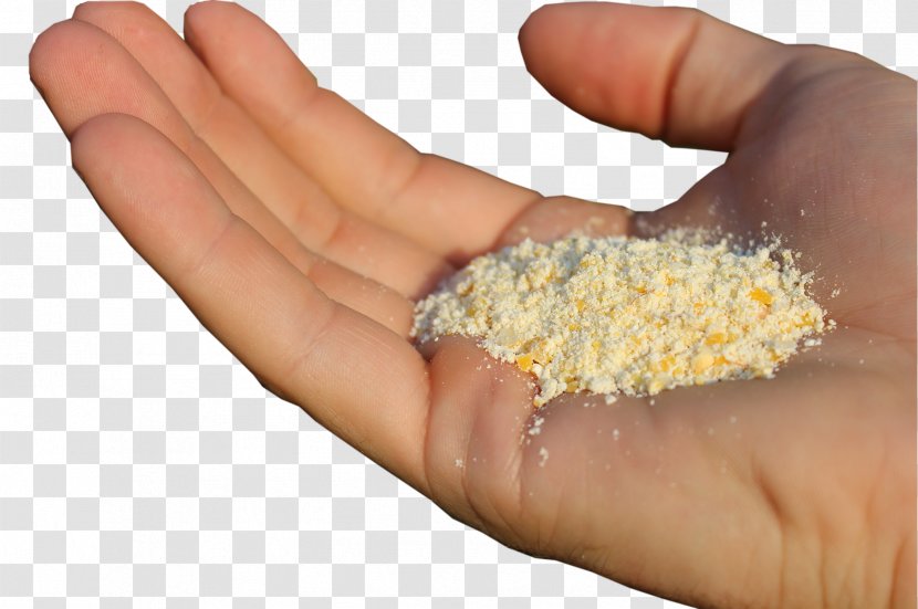 Nail - Hand Transparent PNG