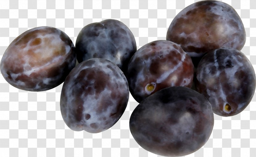 Prunus Nigra Fruit Wholesale Armenian Plum - Shop - Passion Transparent PNG