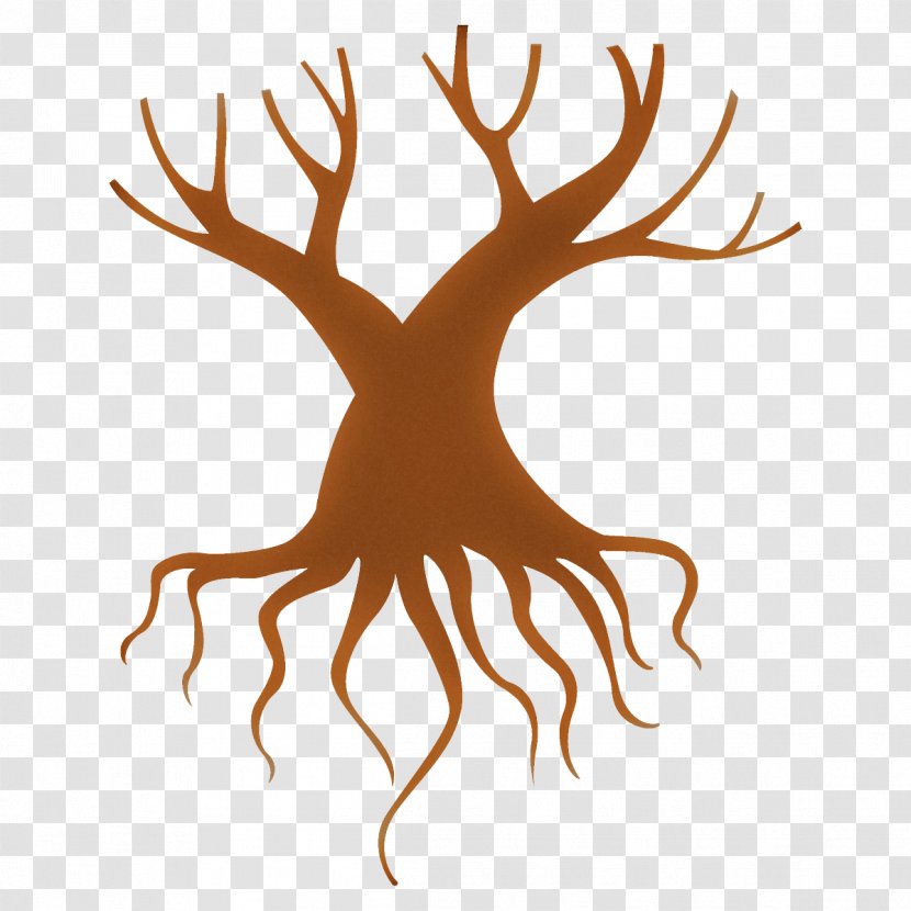 Head Tree Plant Root Transparent PNG