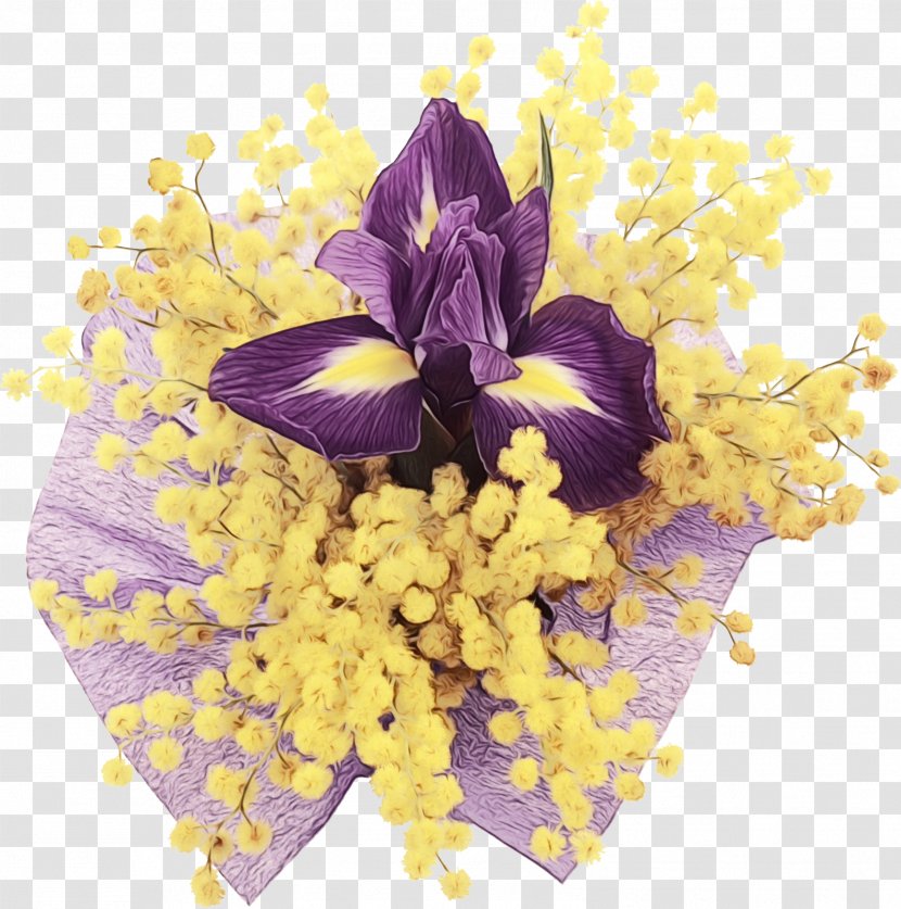 Flower Violet Purple Cut Flowers Yellow - Plant - Flowering Iris Transparent PNG