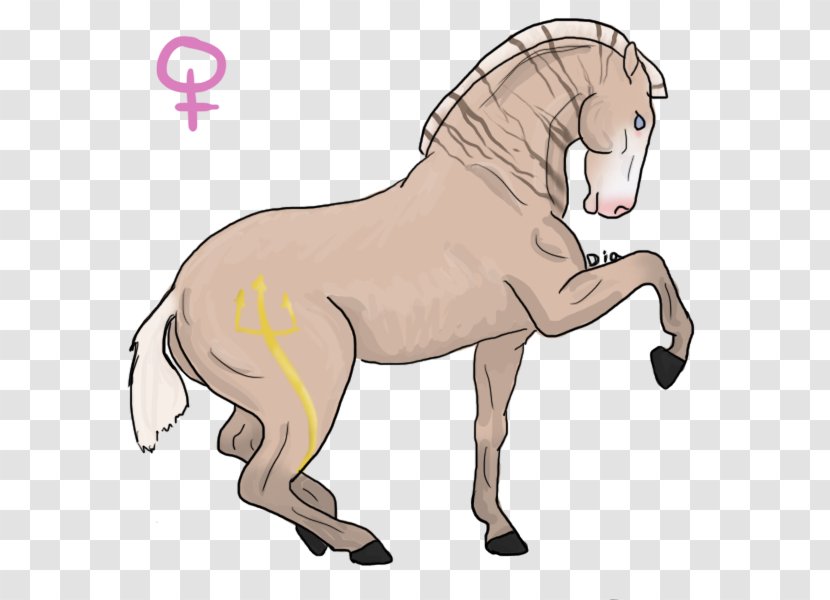 Mule Pony Mustang Stallion Mane - Flower Transparent PNG