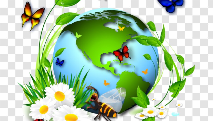 International Year Of Biodiversity Ecology Earth Convention On Biological Diversity - Illustrated Environment Ecosystem Transparent PNG