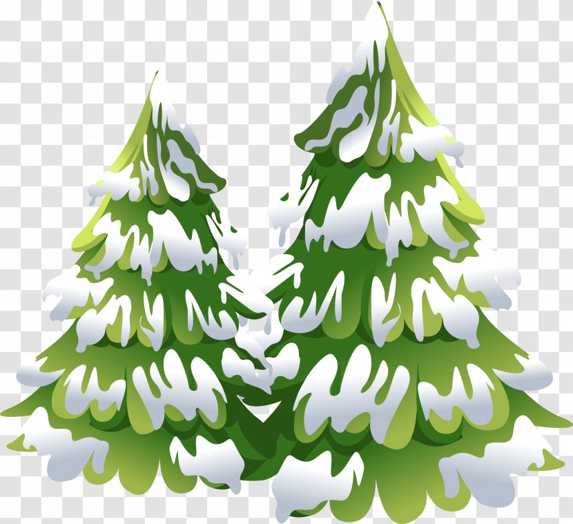 Spruce Fir Tree Drawing Clip Art Transparent PNG