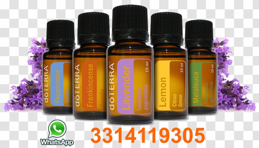Essential Oil DoTerra Aromatherapy Perfume - Therapy Transparent PNG