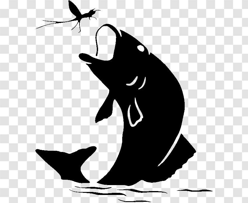 Whale Cartoon - Blackandwhite - Cetacea Killer Transparent PNG