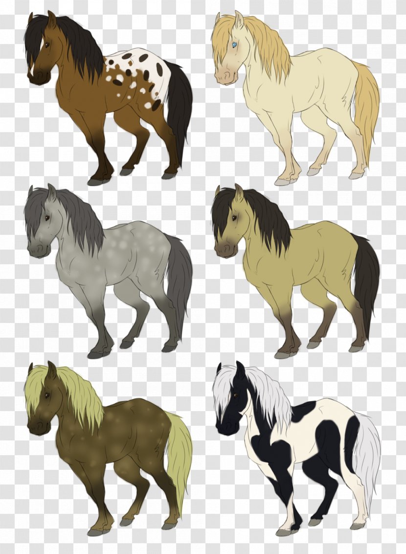 Mane Mustang Stallion Mare Quagga - Horse Transparent PNG