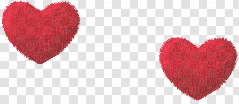 Heart - Petal Transparent PNG