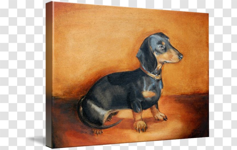 Dachshund Puppy Dog Breed Scent Hound Painting Transparent PNG
