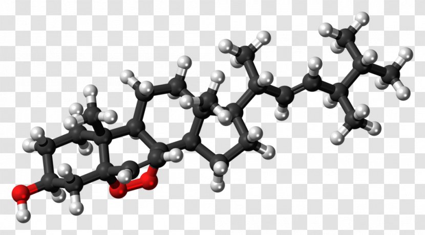 Catalan Wikipedia Ergosterol Encyclopedia Information - Steroid Transparent PNG