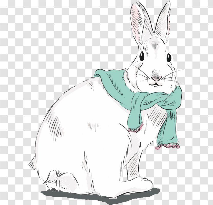 Domestic Rabbit Hare Drawing Clip Art - Ear Transparent PNG