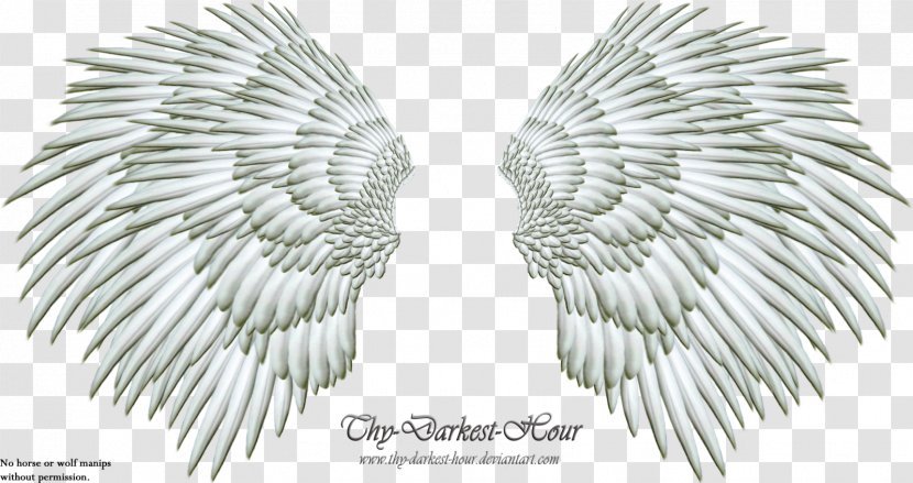 Drawing Clip Art - Gimp - Angel Wings Transparent PNG