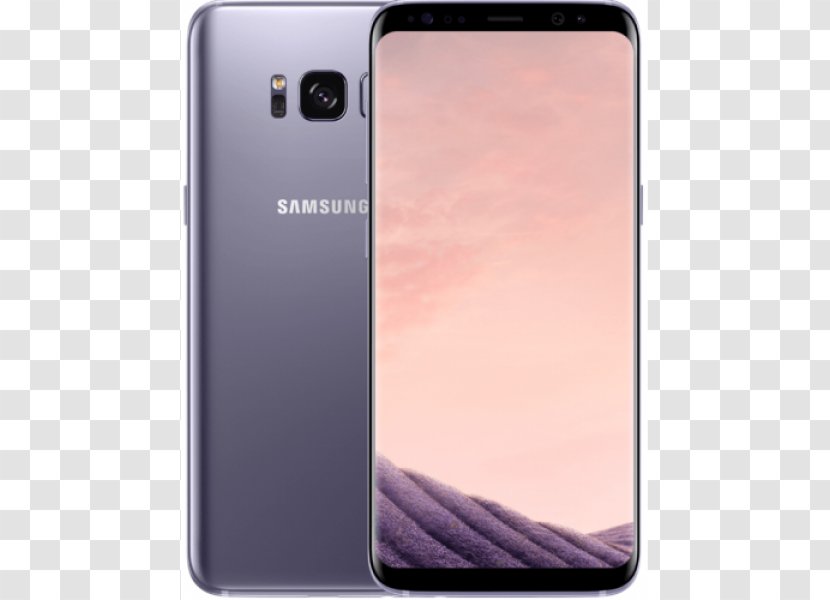 Samsung Orchid Gray 64 Gb 4G LTE - Galaxy S8 Transparent PNG