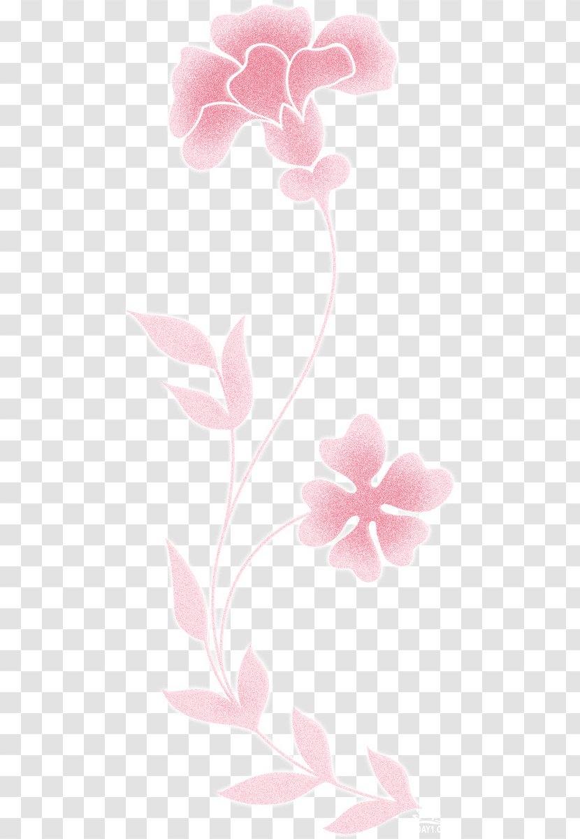 Moth Orchids Floral Design Rosaceae - Flowering Plant Transparent PNG