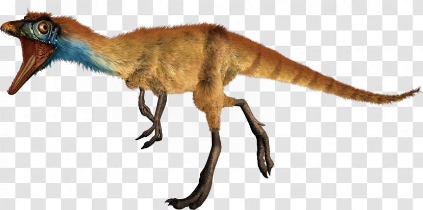 Compsognathus Dinosaur Size Ceratosaurus Diplodocus Microraptor - Late Jurassic Transparent PNG