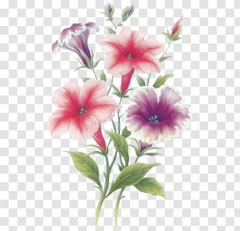 Flower August 22 Painting Adobe Photoshop - Petal Transparent PNG