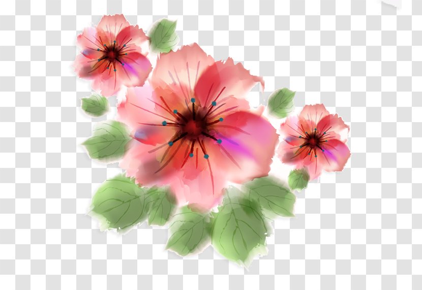 Drawing Pink Flowers Clip Art - Watercolor Transparent PNG