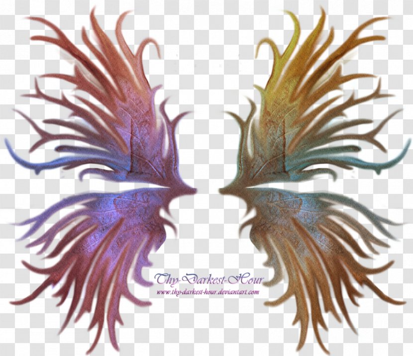 Fairy Drawing - Organism - Wings Transparent PNG
