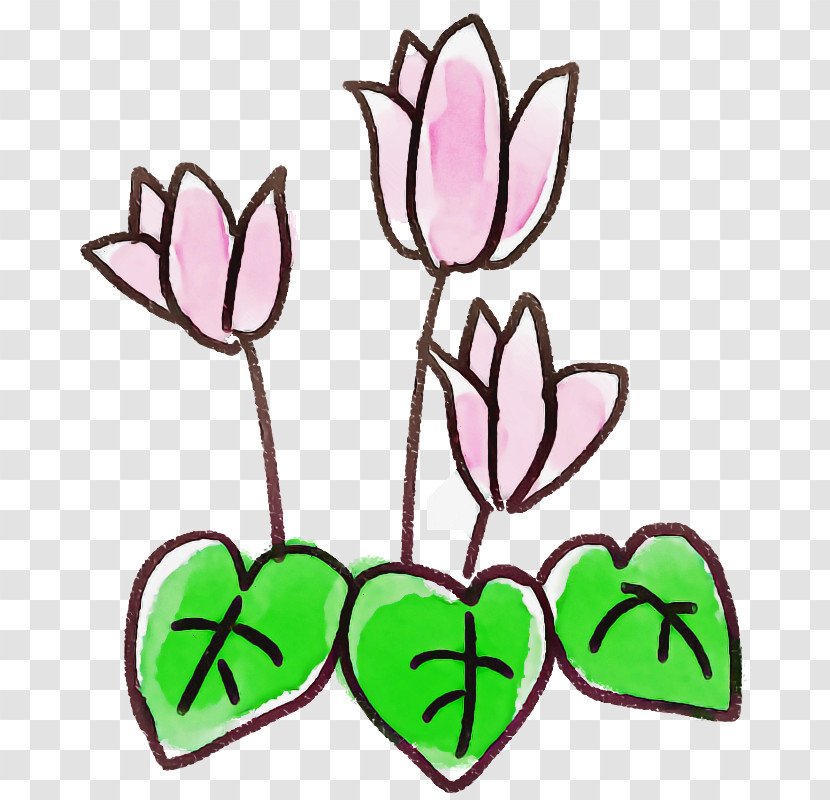 Flower Pink Plant Petal Tulip Transparent PNG