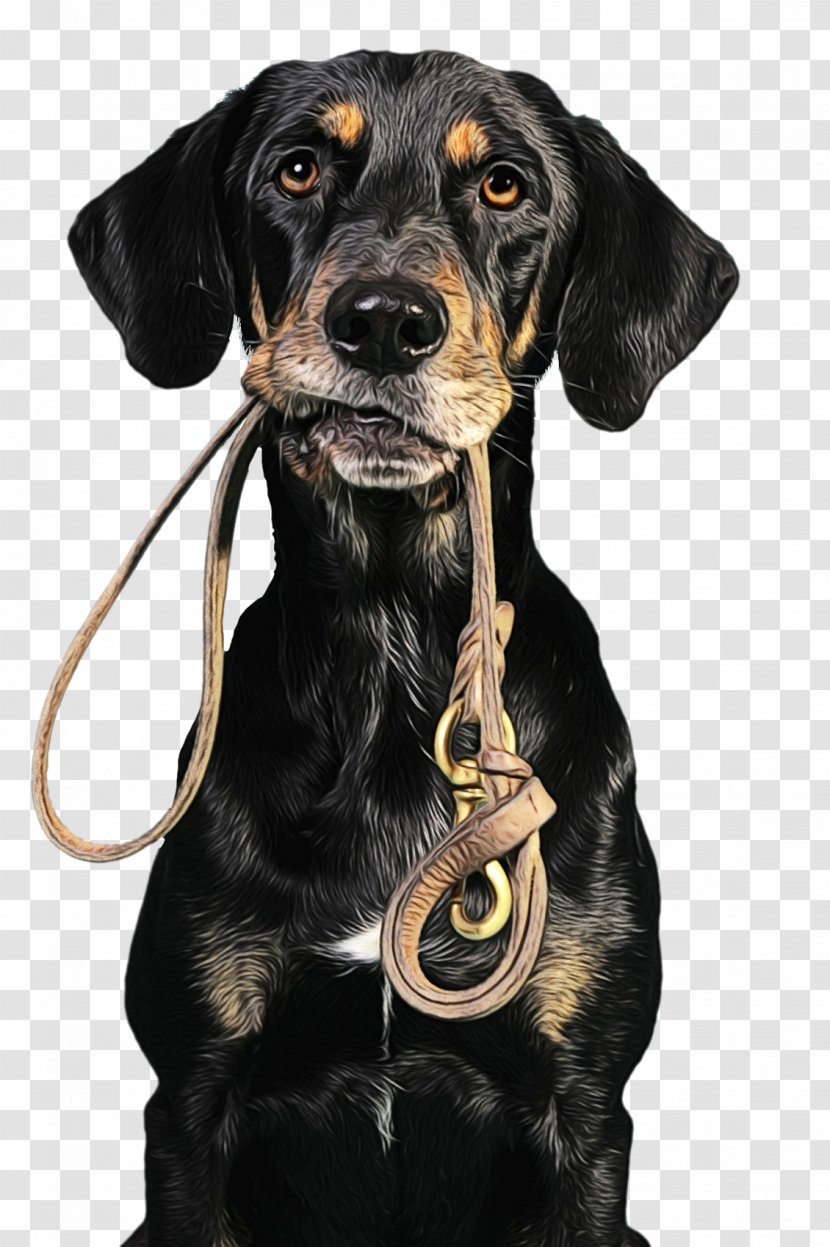 Dog And Cat - Working - Guard Hound Transparent PNG