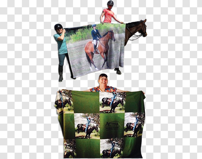 Horse Harnesses Rein Collage - Brand - Blanket Transparent PNG