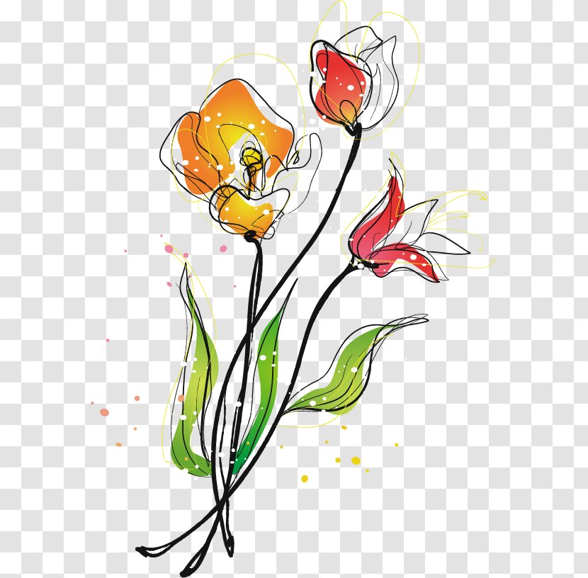 Floral Design Drawing Illustration - Lilium - Sketch Of Lily Vector Material Transparent PNG