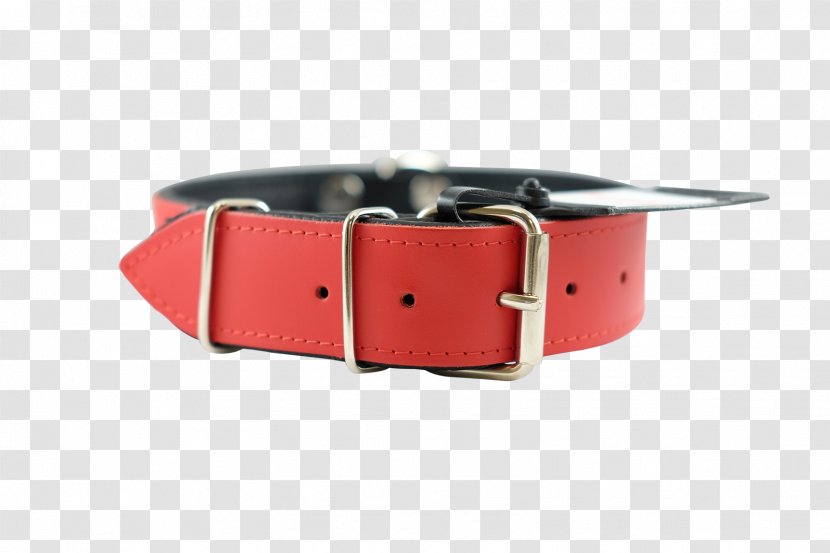 Dog Collar Buckle Watch Strap - Clothing Accessories - Red Transparent PNG