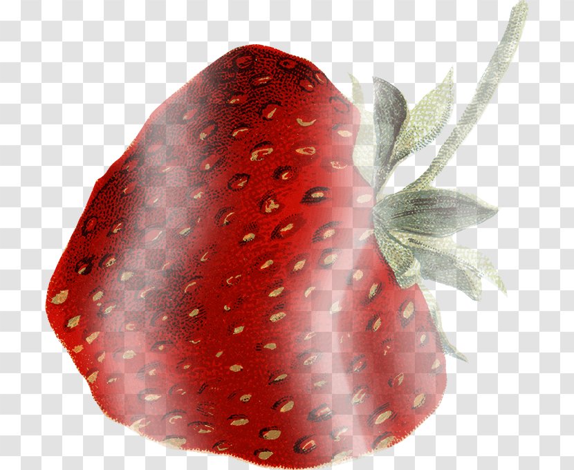 Strawberry - Tree - Heart Transparent PNG
