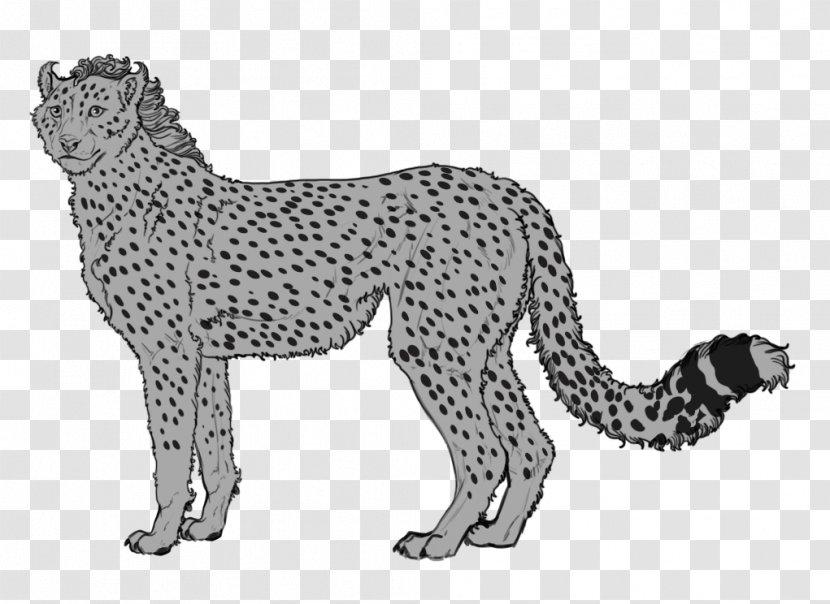 Leopard Lion Cougar Cat Ocelot - Head - Cheetah Transparent PNG