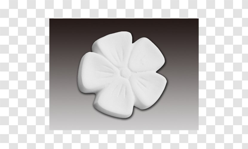 White - Petal - Design Transparent PNG