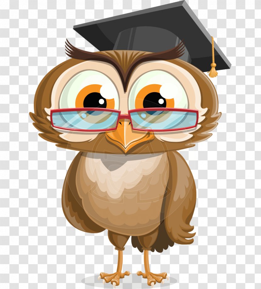 Owl Graduation Ceremony Bird Cartoon - Of Prey - Gown Transparent PNG