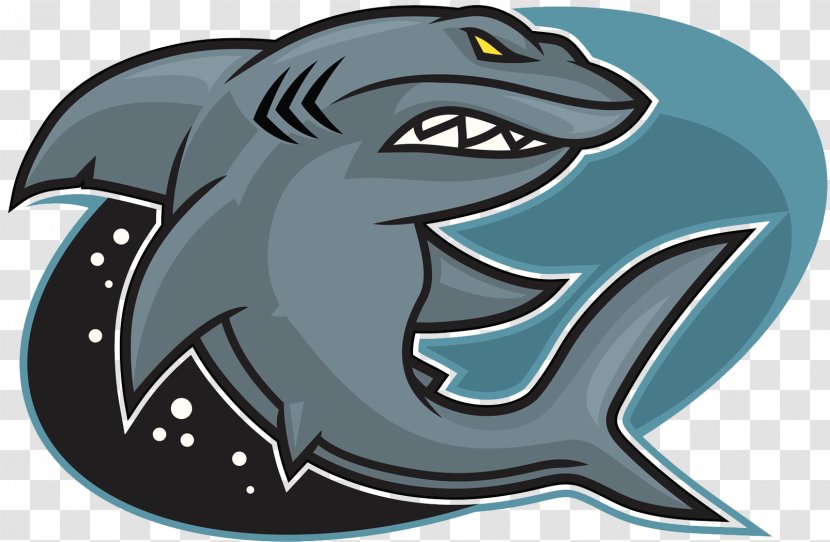 Great White Shark Red Triangle Illustration - Marine Mammal - Cartoon Evil Transparent PNG