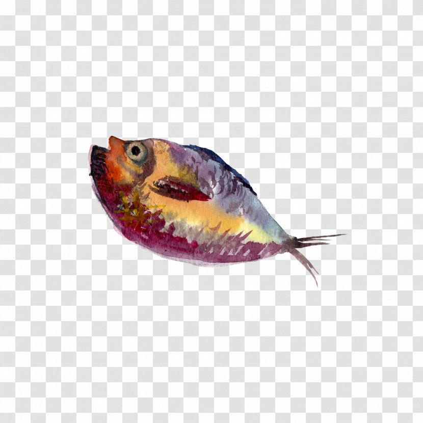 Watercolor Painting Drawing Illustration - Fish - Water Transparent PNG