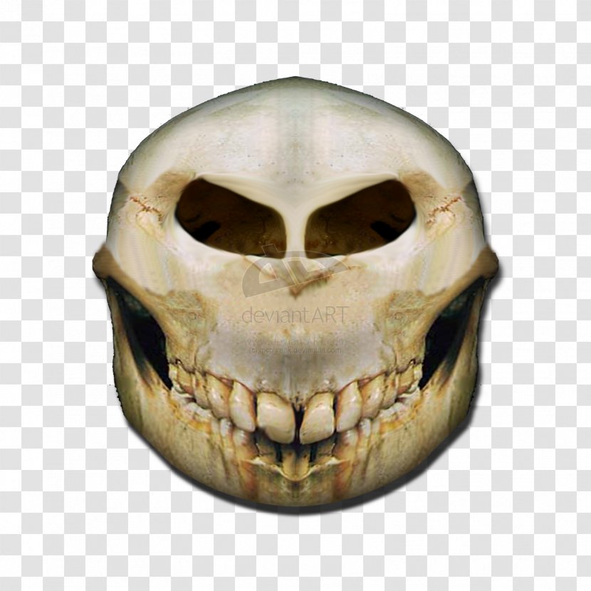 Skull Face Smiley Bone Skeleton - Creative Transparent PNG