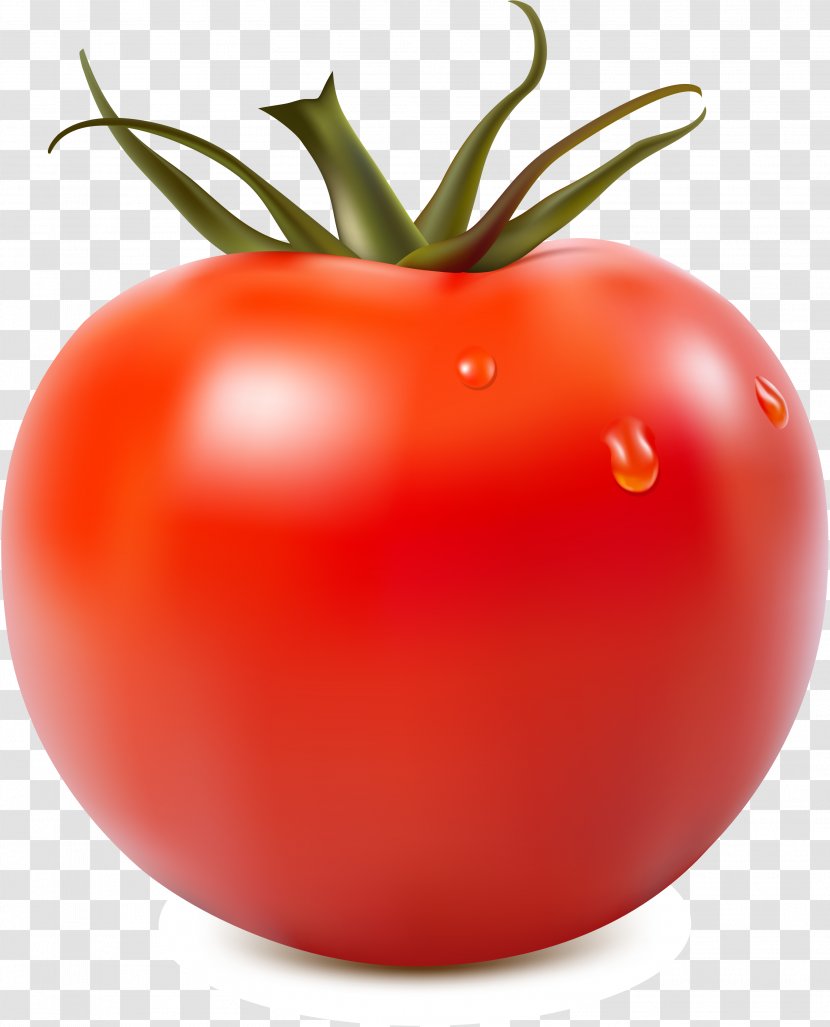 Tomato Juice Sauce Clip Art - Diet Food - Vegetable Transparent PNG