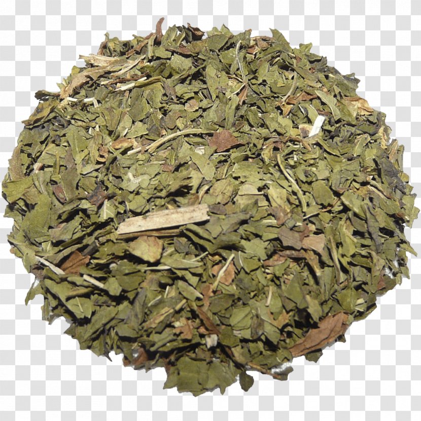 Matcha Flowering Tea Green Organic Food - Herbal Transparent PNG